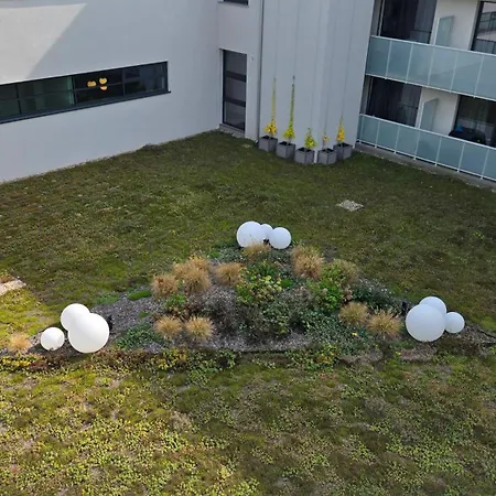 Daire Gamma Zwycieska Wroclaw