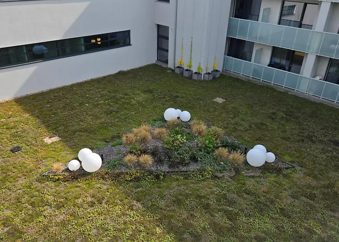 Daire Gamma Zwycieska Wroclaw